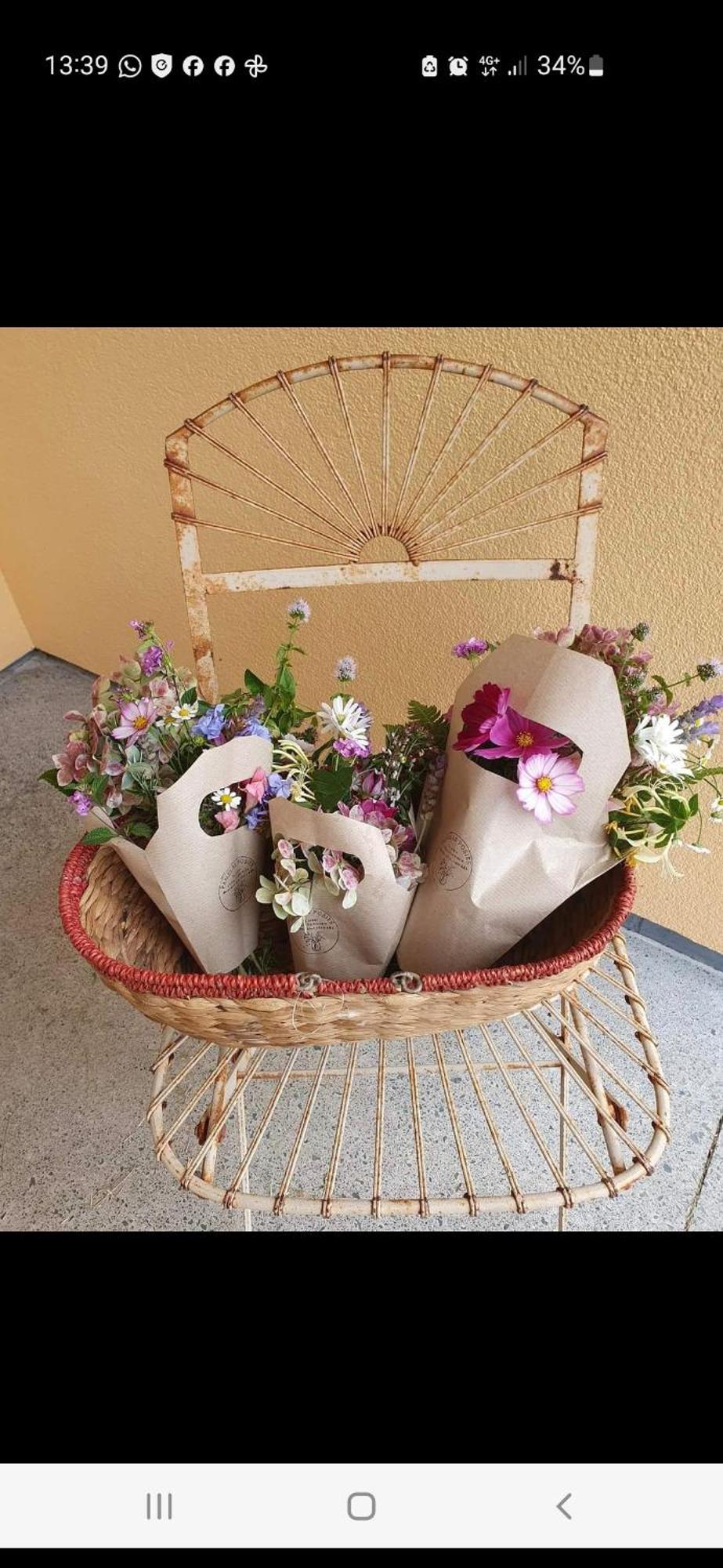 Kerikeri Blue Chair B&B ภายนอก รูปภาพ